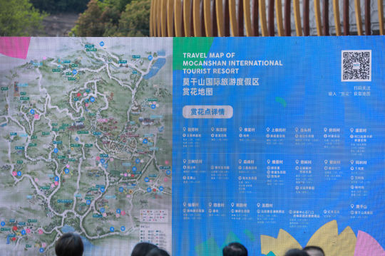 完善照片直播后期处理方案，保证照片效果优质