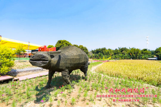 让我们一起感受这场不同寻常的文化狂欢吧！