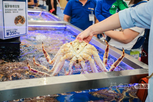 我们考虑提供照片直播案例来展现喔图云摄影的照片直播技术优势