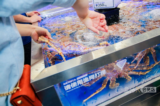 我们需要全程跟进活动的数据处理和运营情况