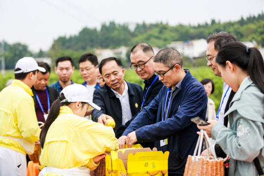 关注减少排放、垃圾减量，推行绿色消费