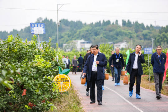 实行开放式、互动式的设计，营造接地气的活动氛围