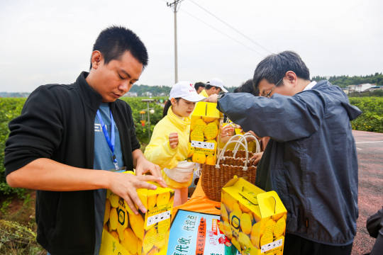 挑选出色的摄影达人，形成“现场照片直播”团队