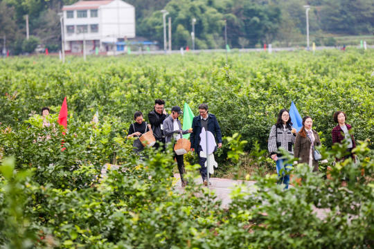 安排充足的安保人员、物品保管和医疗服务