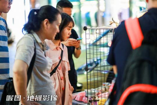 现场拍摄、采访基层社区、商贩、消费者等