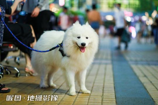 通过照片直播呈现多个城市地摊的日常生活