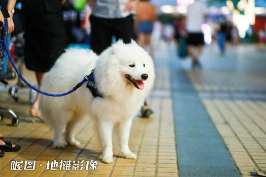 现场直播将记录每一个地摊的生活、故事、情感