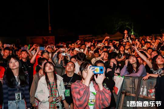 音乐节集合了国内外知名音乐人，呈现多元化音乐风格。