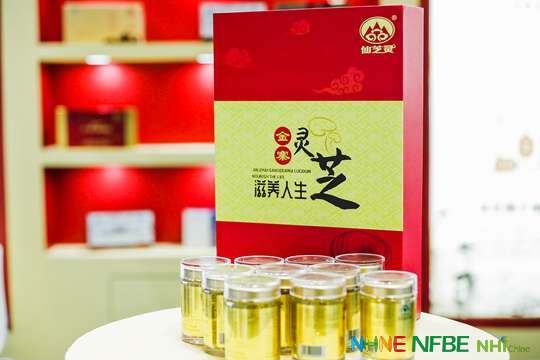 照片直播案例展示，展现照片直播在不同场合的成功应用。