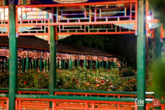 本次活动将为城市发展和文化交流注入新的动力和活力