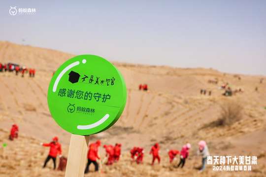 鼓励参与者积极参与活动