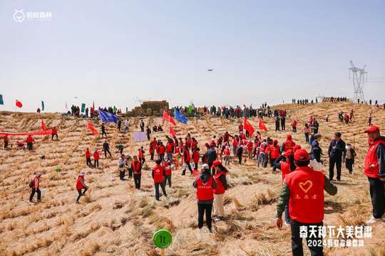 应对突发情况