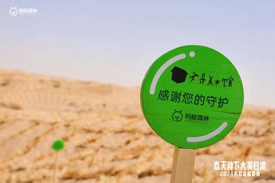 协助指导种植工作